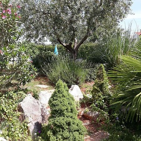 Ana Marija Apartments Poreč Zewnętrze zdjęcie