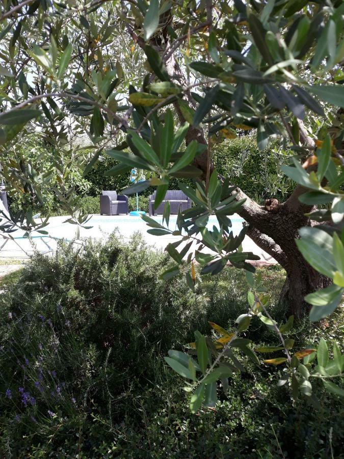 Ana Marija Apartments Poreč Zewnętrze zdjęcie
